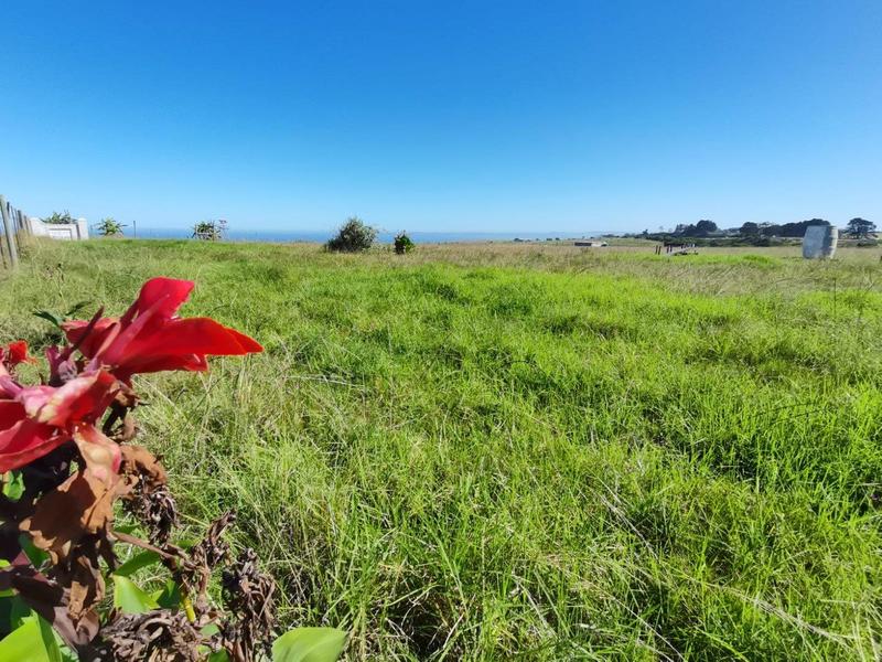 0 Bedroom Property for Sale in George Rural Western Cape
